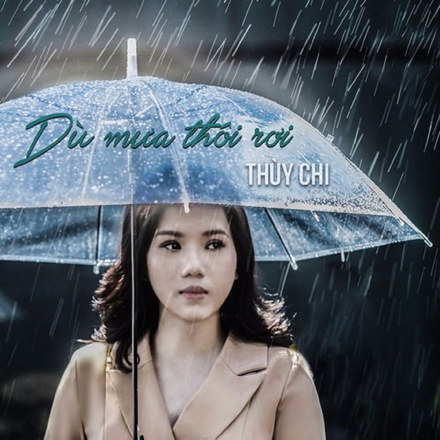 THUỲ CHI – DÙ TRỜI MƯA [FLAC]